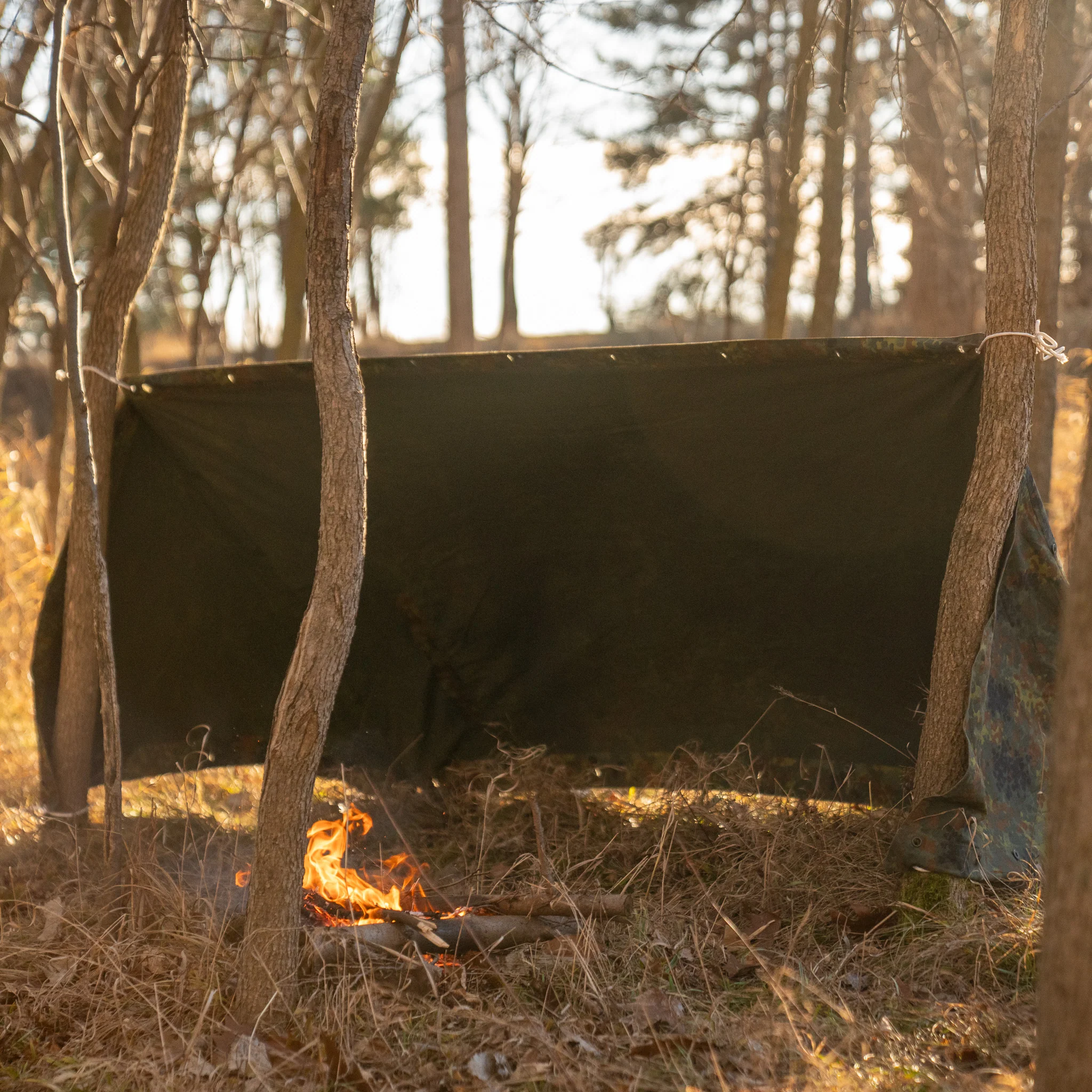 Issued German Flecktarn Shelter Half - Image 4